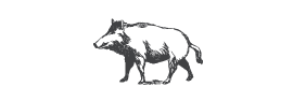 The White Boar